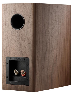 evoke_20_walnut_wood_back